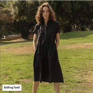 Everlane Shirt Dress NWT